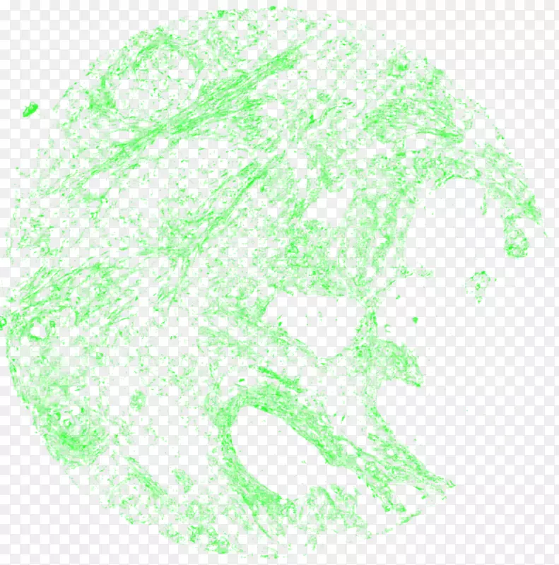 Fluidigm��˾������ʽϸ������ѧCD 44-������