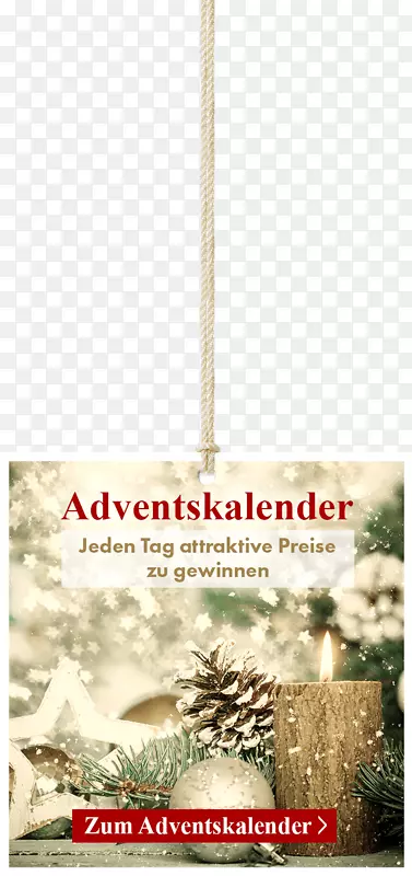 ʥ����ʥ����װ������-ʥ����-������