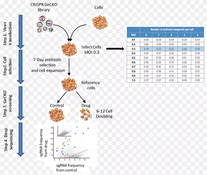 �����߻����л���ͼ-��-������