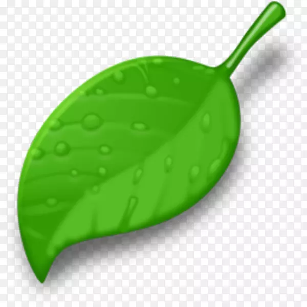 ��³����MacBookά��ŦԼϵͳ����ͼ����������-������