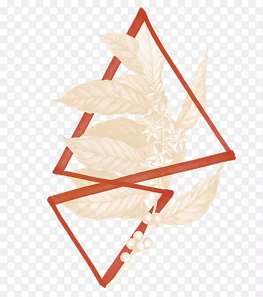 ʥ��װ��Ʒʥ����-����cerrado����-������