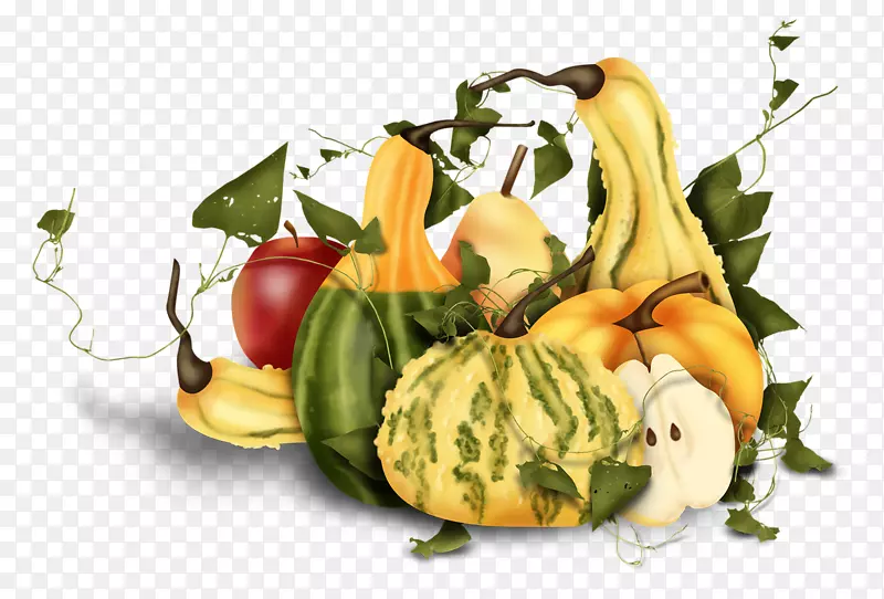 ���������Ĳ����Ϲ�ͼƬ-������