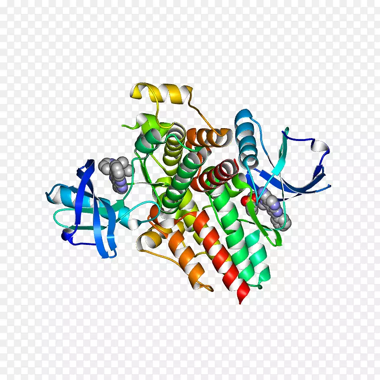 ���������л����Ʒ����.��ת����-������