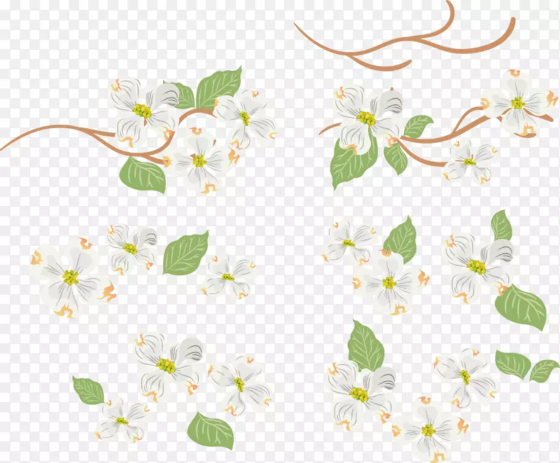 ������ƻ���ͼҶ-������