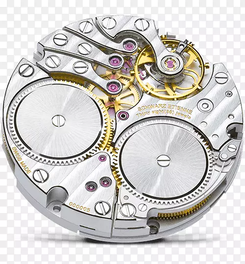 �Զ���Schwarz Etienne�˶��ӱ�-������