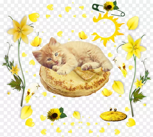 ���벩�ͺ���ʳ����̨-������