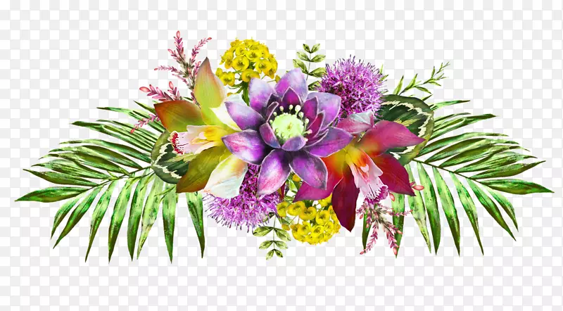 ����ˮ�ʻ���ͼ����-��-������