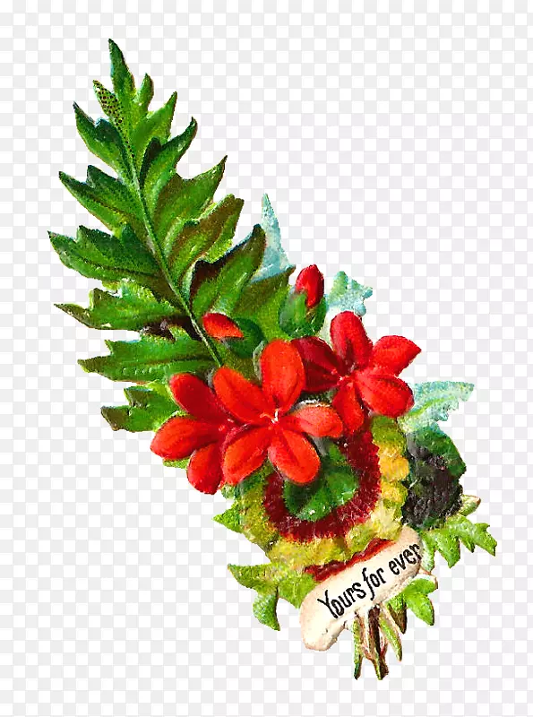 �л�������԰õ��-�ʻ�-������