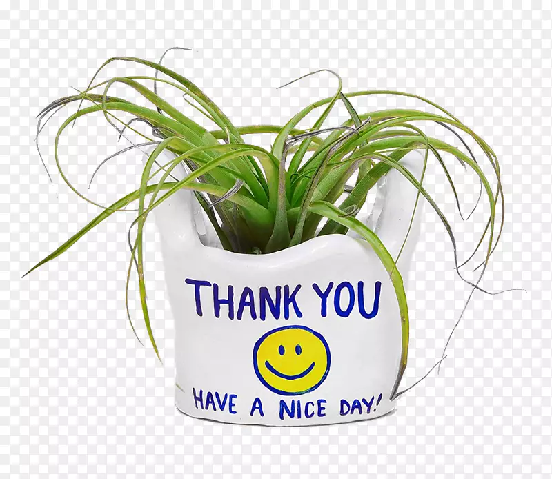 ����ֲ���Ʒ����-������