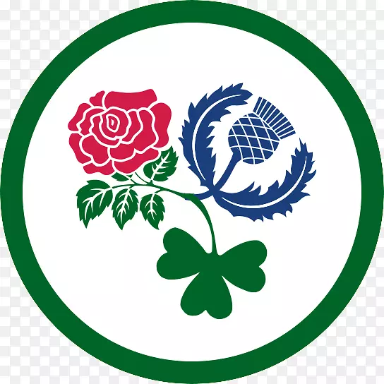 ��������Ʒ��־Ҷ����ֲ��-������