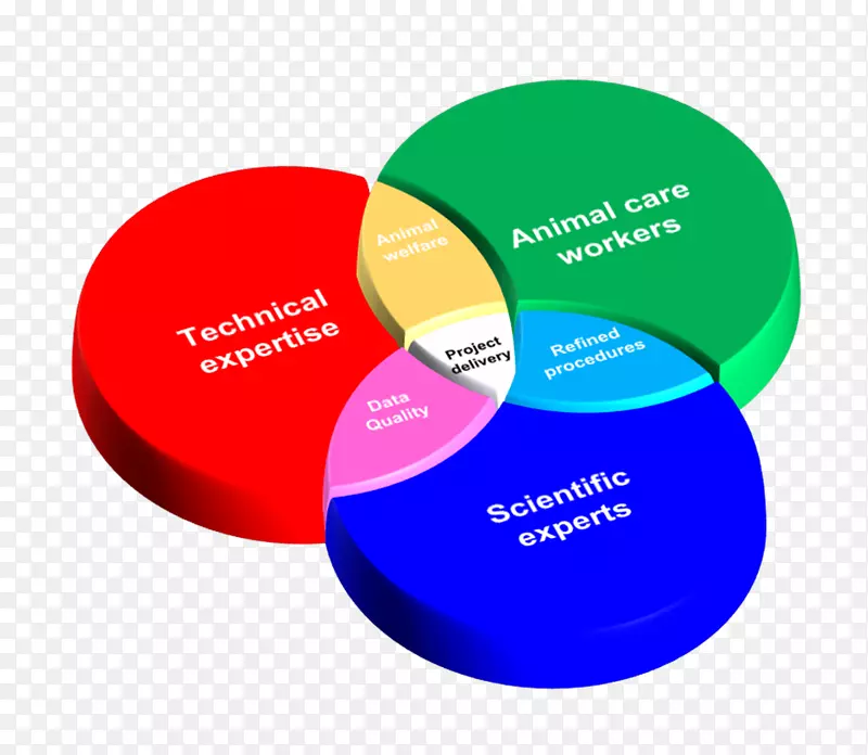 ����ѧ�о���ѧ��-������