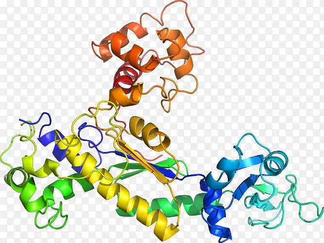 �������л�����������-������