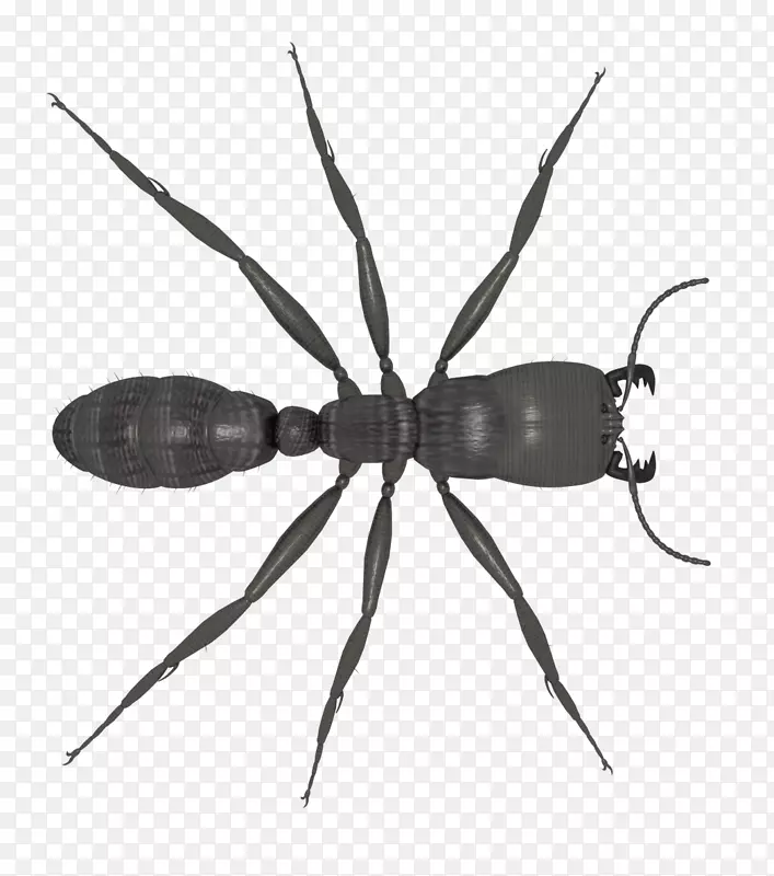 �����᣿��������-���ϸ���Ŵ���10��-������