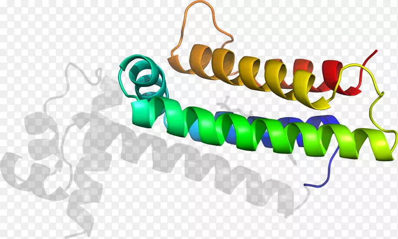 ���������Ʒ�����-������