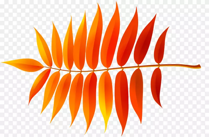 ��ɫ�ߡ�-����-������