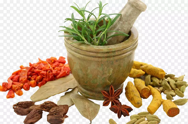 ���ȶ�Τ��ѧʿ��ҽѧ���������ҽ��������-������