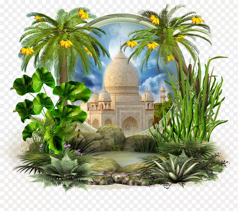 ���ʱ�е����Ĳ�������-������԰-������