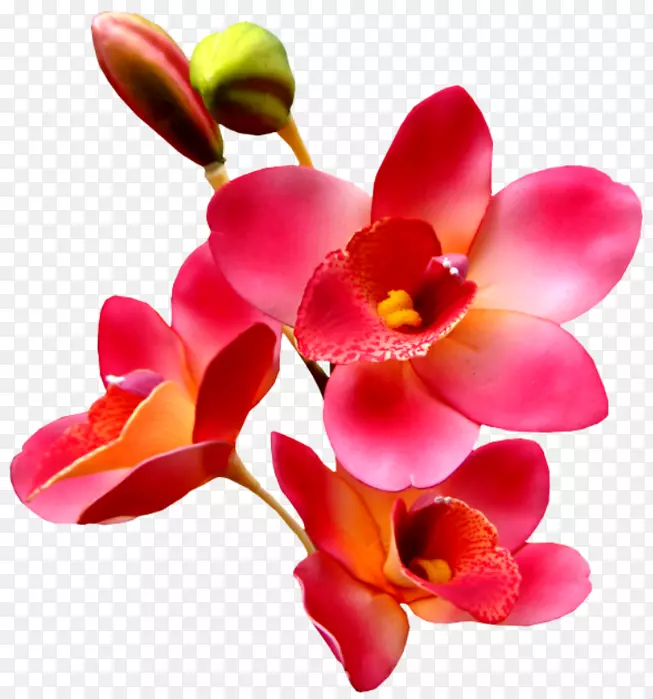 GIF�����ֽͼƬ��������-����-������