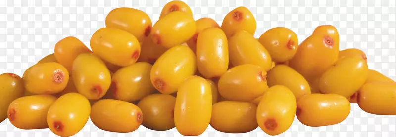 ɳ��֭���ϲ����-ɳ��PNG-������