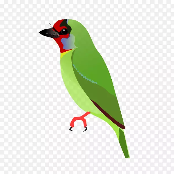 �ȸ��ë-������