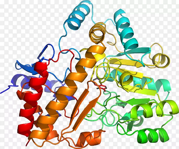 �������л�����������-�Ȱ���-5-��ȩ-������