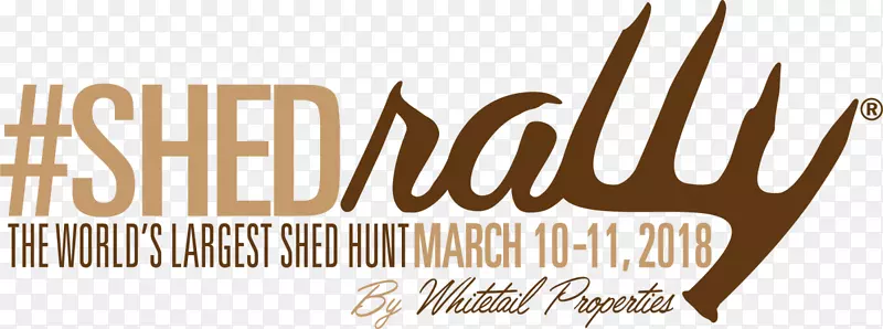 ��־����Ʒ����-������