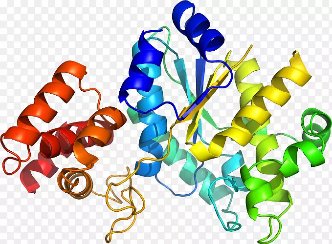 ������ϵ���л�������-NCA-������