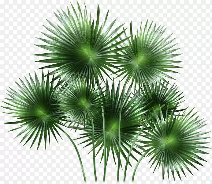 �����-������