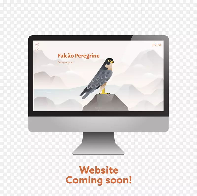 չʾ���Ʒ�ƶ�ý��-������