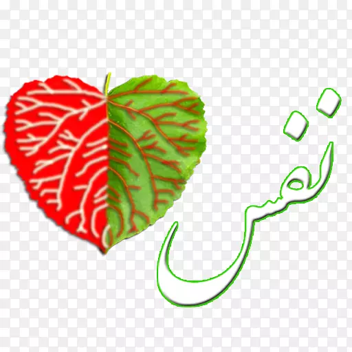 ����������Android�ƶ�Ӧ���ֻ�����-������