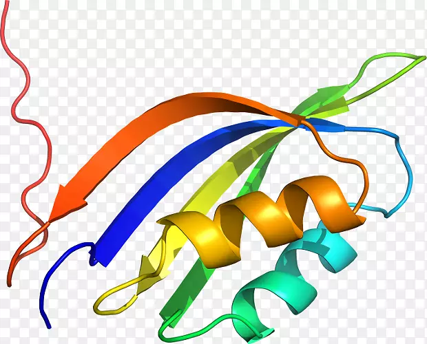 ���������л����ɫS.A.-�ݲݸ˾�-������