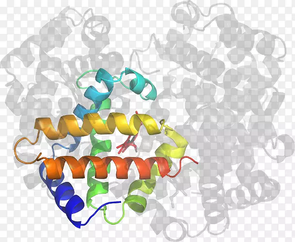 ���������ϲ�Ʒ�����-������