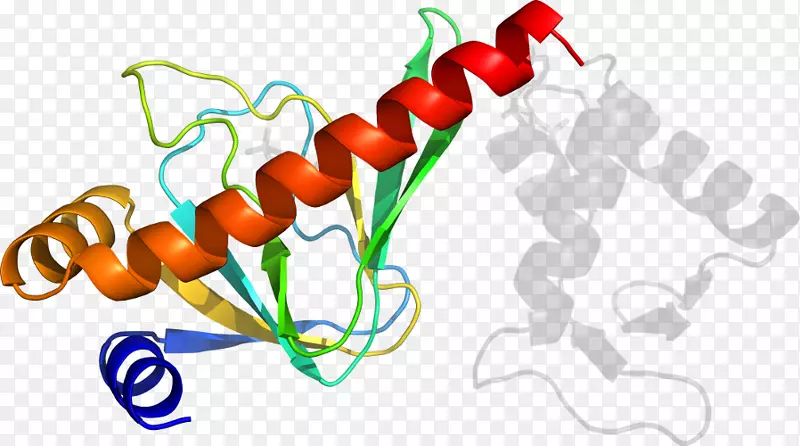 �������߲��л���ϵ��-�߲�-������