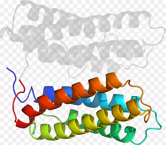 ��������Ʒ�л����߳�ɫS.A��-������