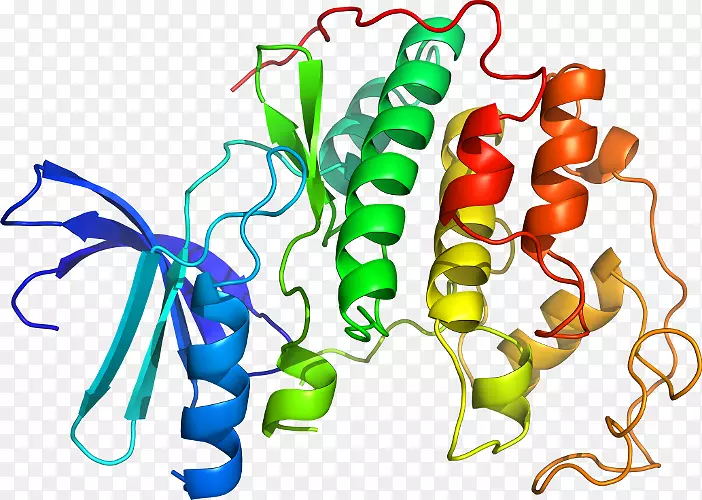 �������߲˲�Ʒ�л���ϵ��-�߲�-������