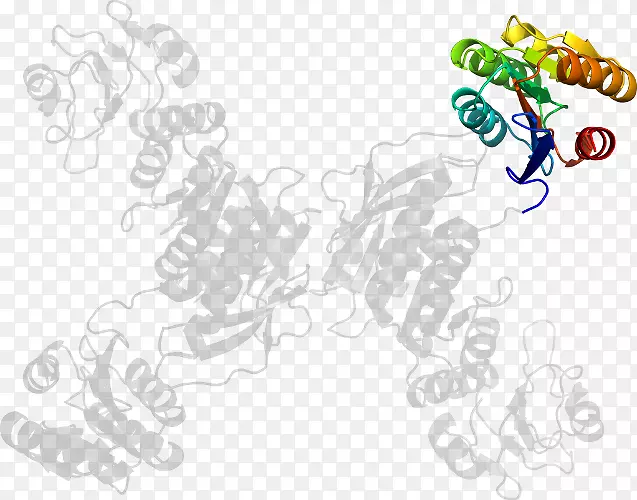 �������廭�߲�Ʒ����-������