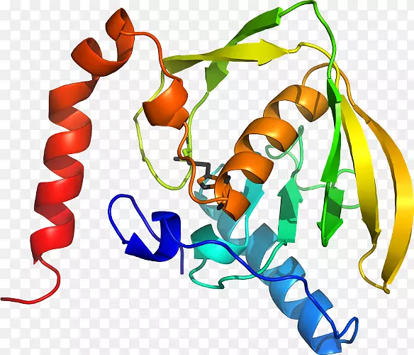 �������л����߶���-������