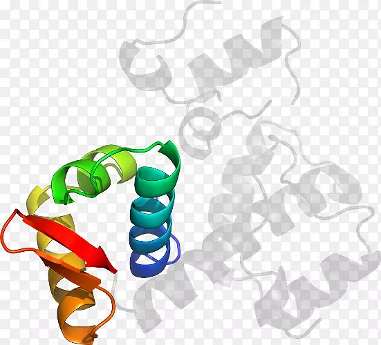 ��������Ʒ�����-������