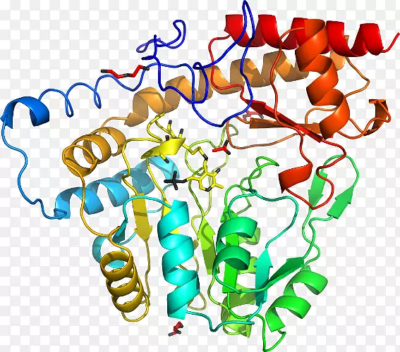 �������߲�Ʒ���л�����-������