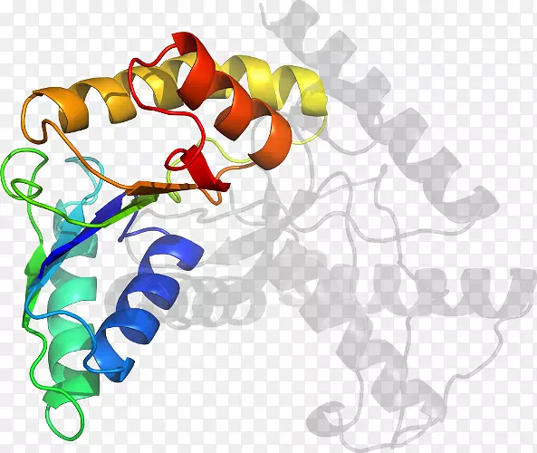 �������л����߳�ɫS.A.���������m-������