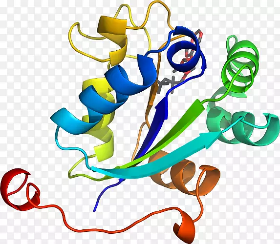 ��������Ʒ������л���-������