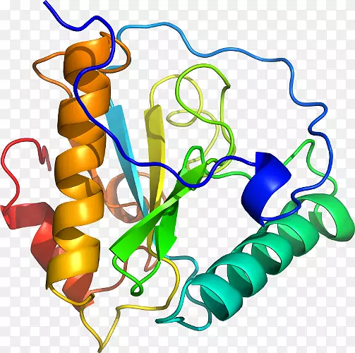 �������߲�Ʒ���л�����-������