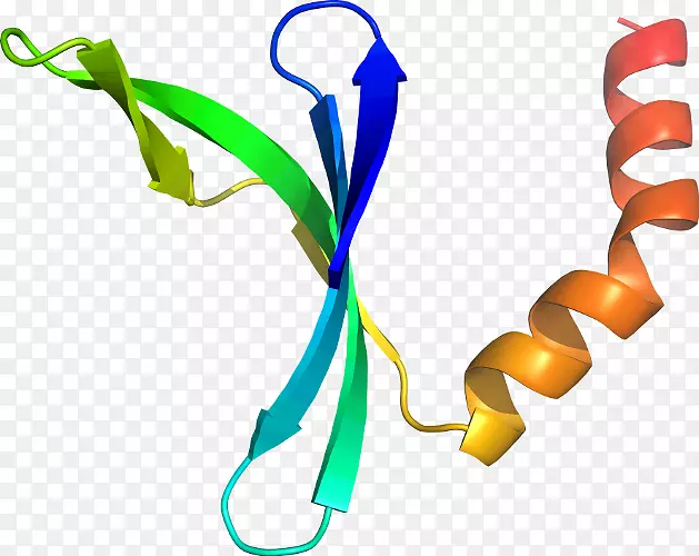 �����������鱦����-������