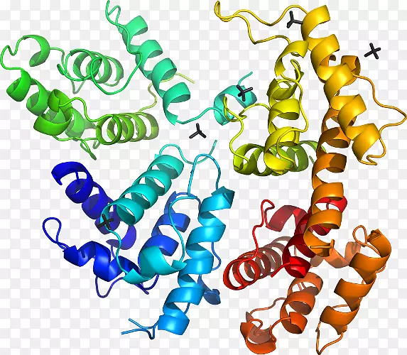 �������л�����������-������