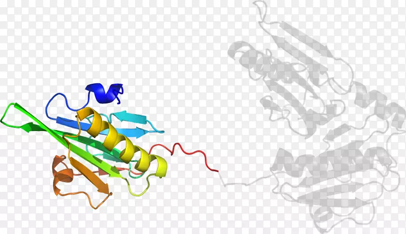 �廭��������Ʒ�����-������