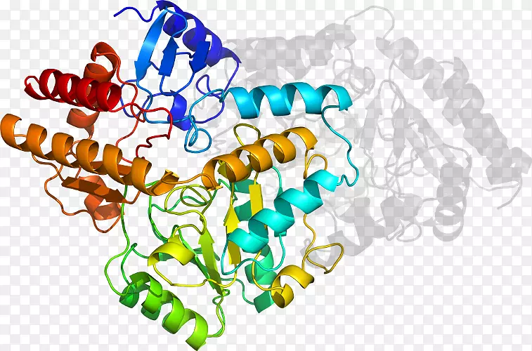 �������л�����������-Hoya-������