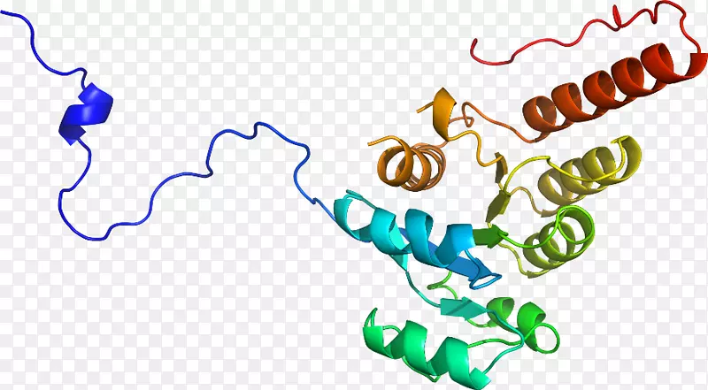 �������߲�Ʒ���л�����-������