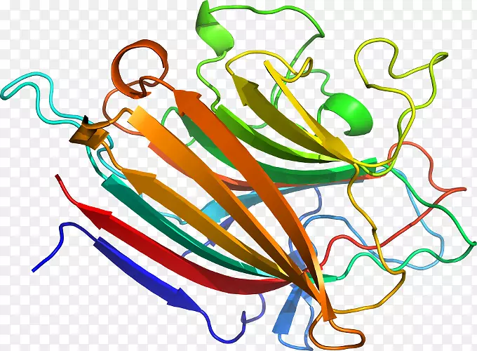 �������߲�ֲ�������������m-�߲�-������