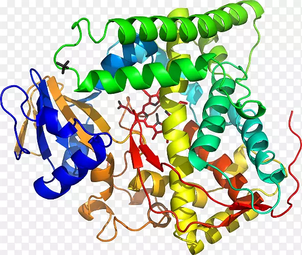 �������л�����������-������