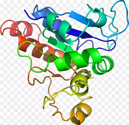 �������л�����������-������